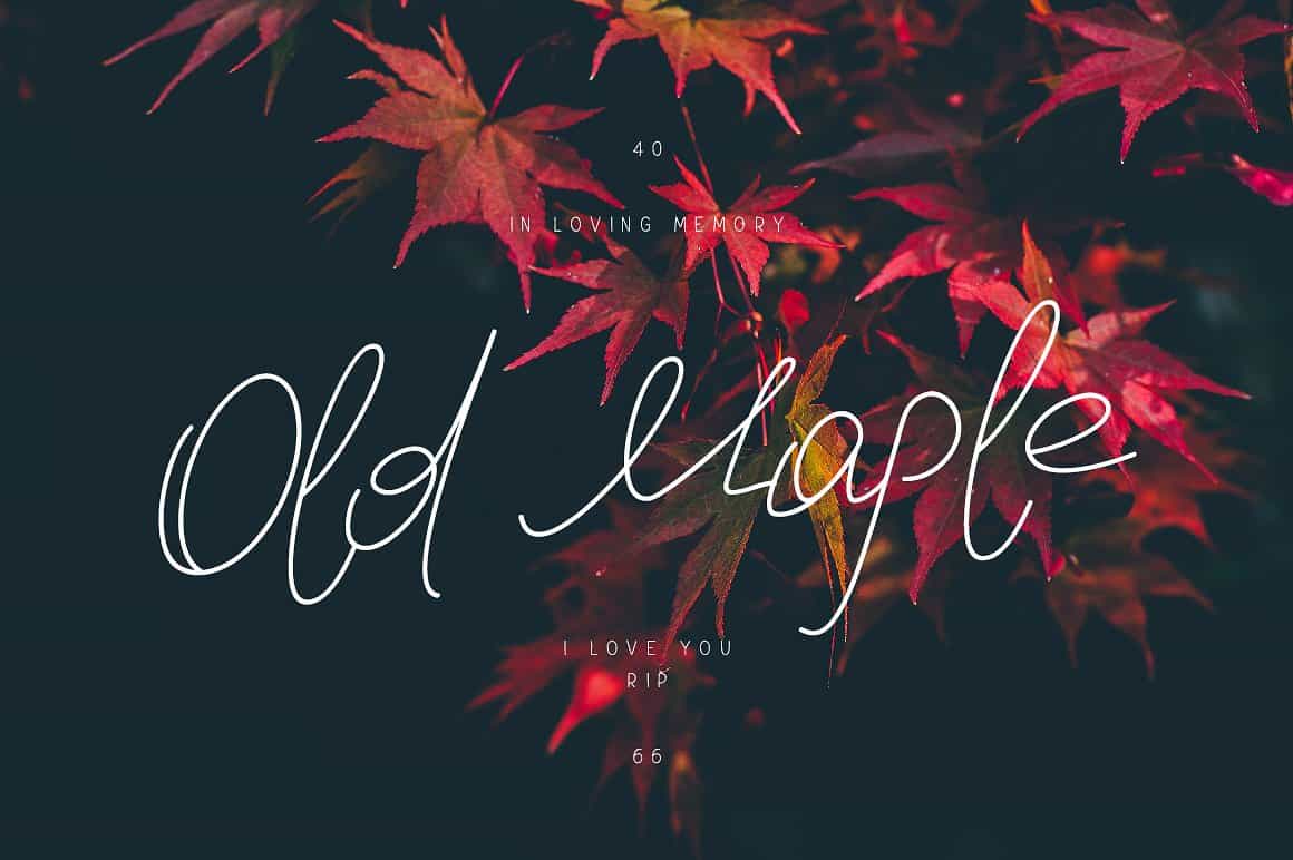 Download Old Maple font (typeface)