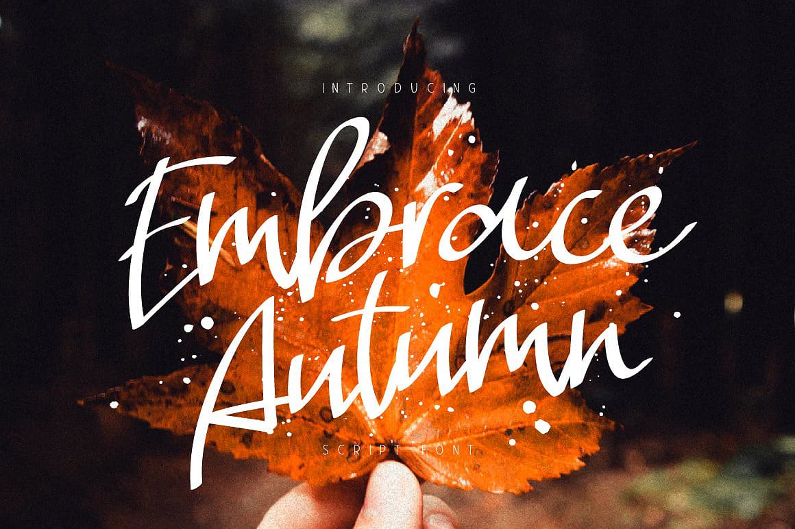 Download Embrace Autumn font (typeface)