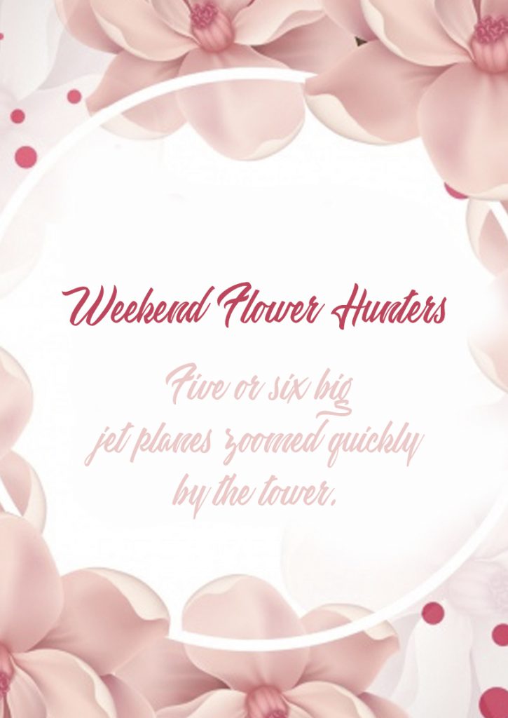 Download Weekend Flower Hunters font (typeface)