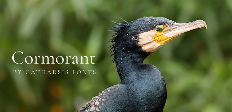 Download Cormorant OTF Family font (typeface)